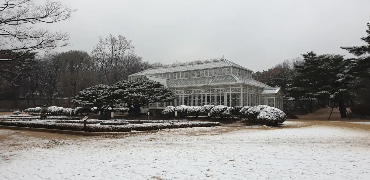 창경궁-대온실-눈내린-마당-눈내린-나무들