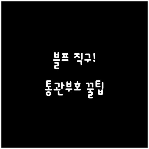 블랙프라이데이 직구 전 개인통관고유부..