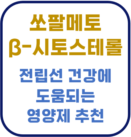 쏘팔메토 베타 시토스테롤 전립선 건강 전립선비대증 야뇨 잔뇨 전립선암 영양제 보충제 건강기능식품