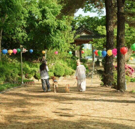 강아지를 데리고 스님과 산책로를 걷고 있는 여자