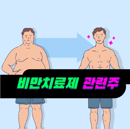 비만치료제 관련주 상승 종목 알아보기