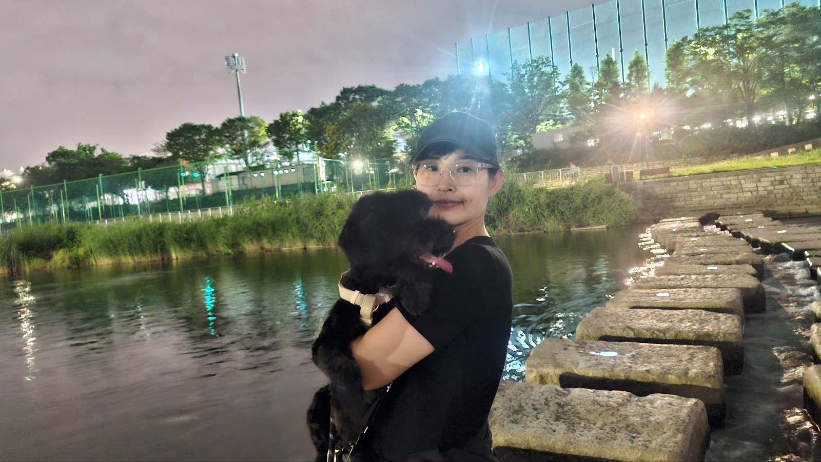 강아지 배변전 빙빙도는 이유 11가지