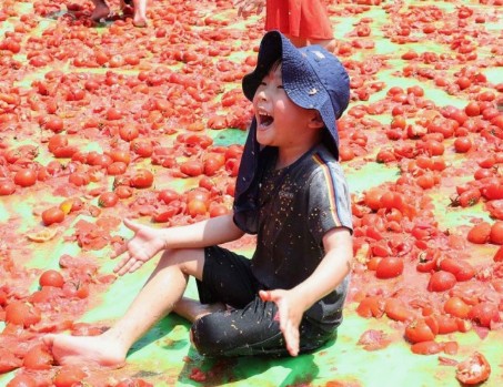 퇴촌-토마토-축제