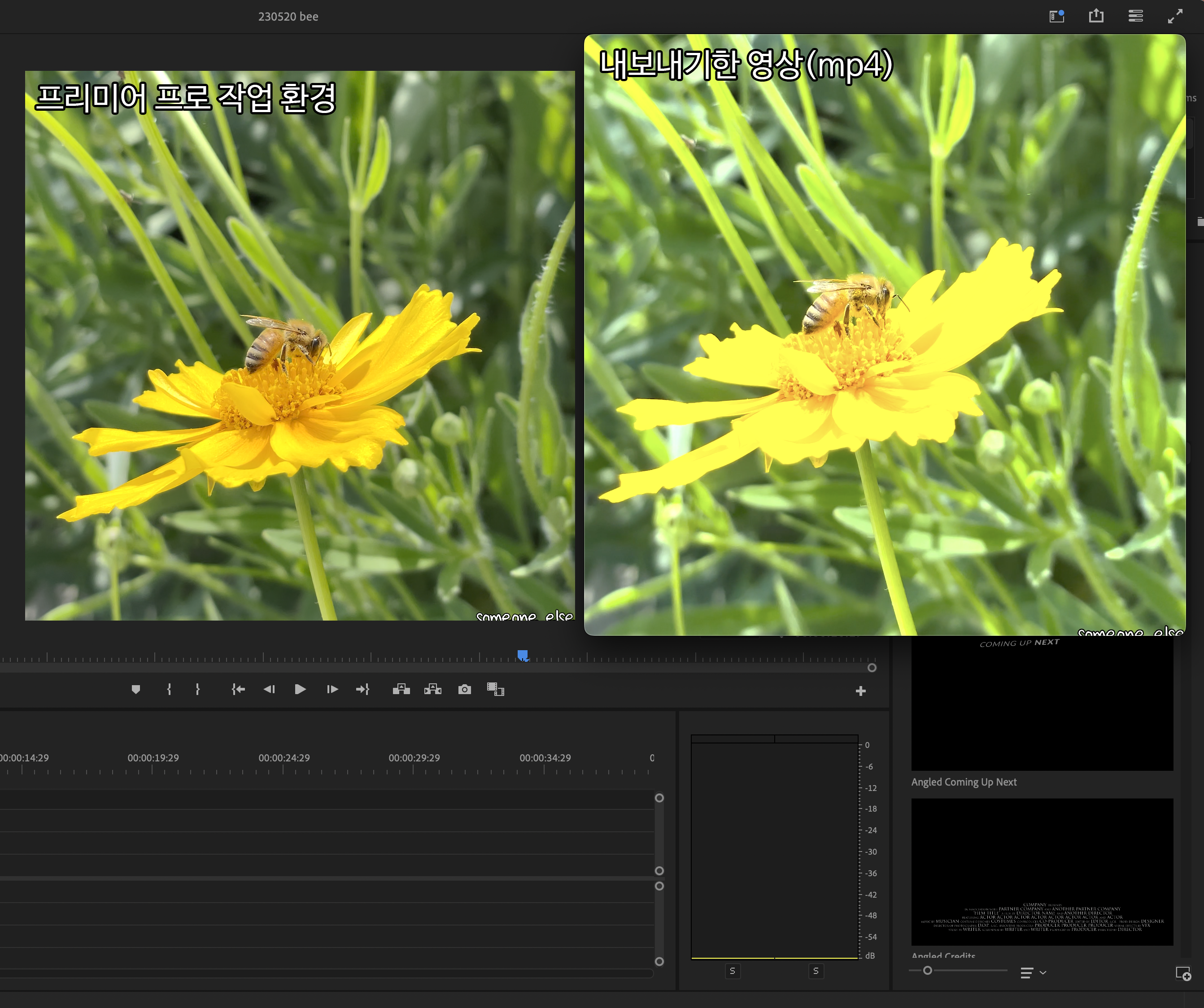 프리미어 프로 Export한 영상 밝기 및 색감 이상