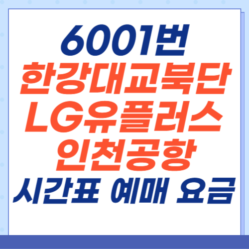 6001번-공항버스-한강대교북단-LG유플러스-시간표-예매-요금