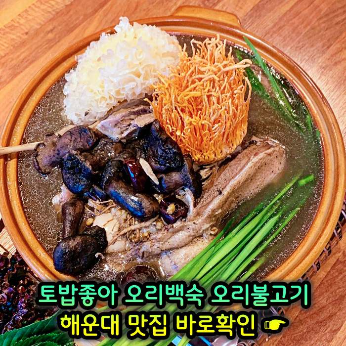 부산 해운대 맛집 무항생제 1등급 오리 백숙