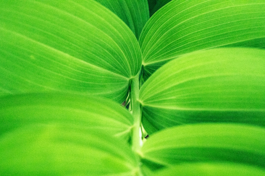 Green Finance
