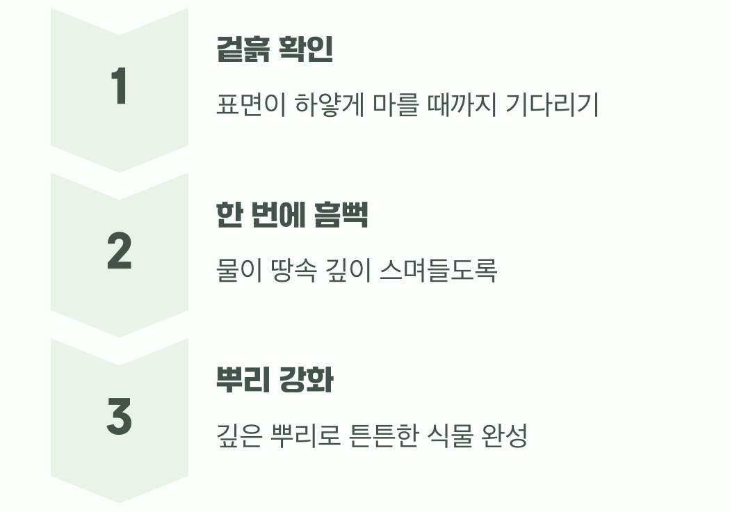 목마른 식물의 까다로운 물주기