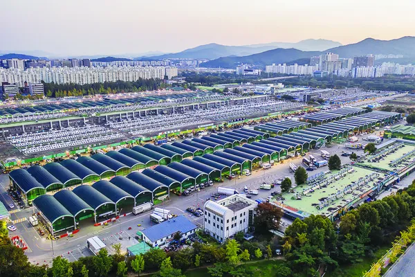 가락동 농산물 경매시세 실시간 확인 완벽 농산물 정보_2