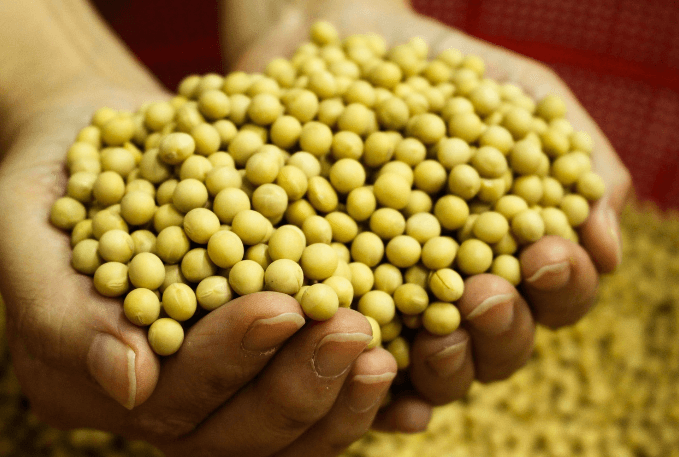 당뇨에 좋은 음식과 나쁜 음식