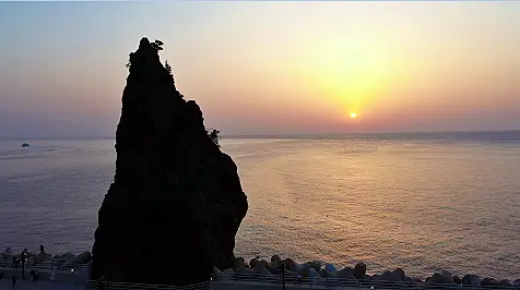 울릉도 바다의 귀한 보물, 독도새우 방송 업체 가게 정보