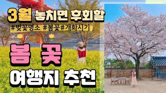 벚꽃 명소 추천 축제 유명한곳_6