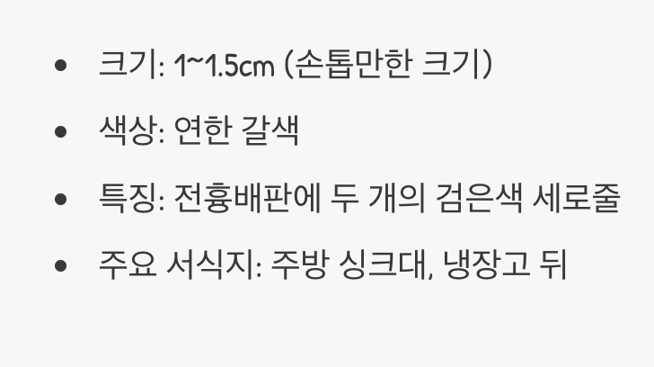 작고 빠른 최악의 침입자&amp;#44; 독일바퀴