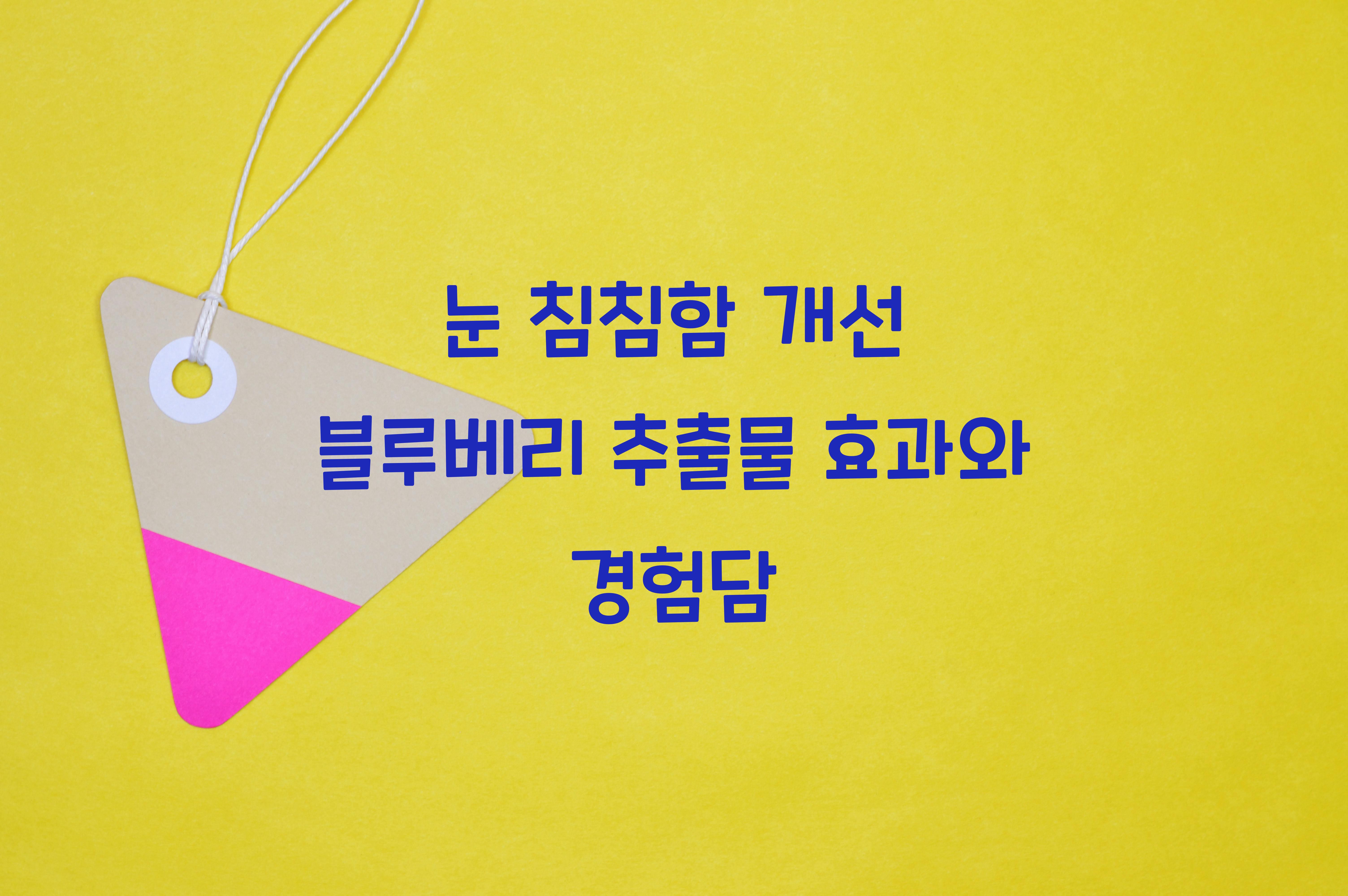 눈 침침함 개선 블루베리 추출물