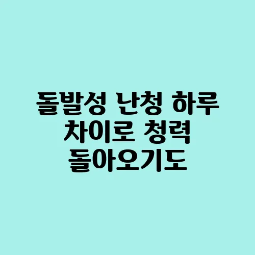 돌발성 난청 하루 차이로 청력 돌아오기도