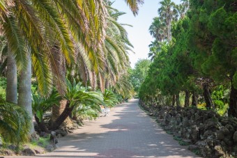 제주도 한림공원 정경