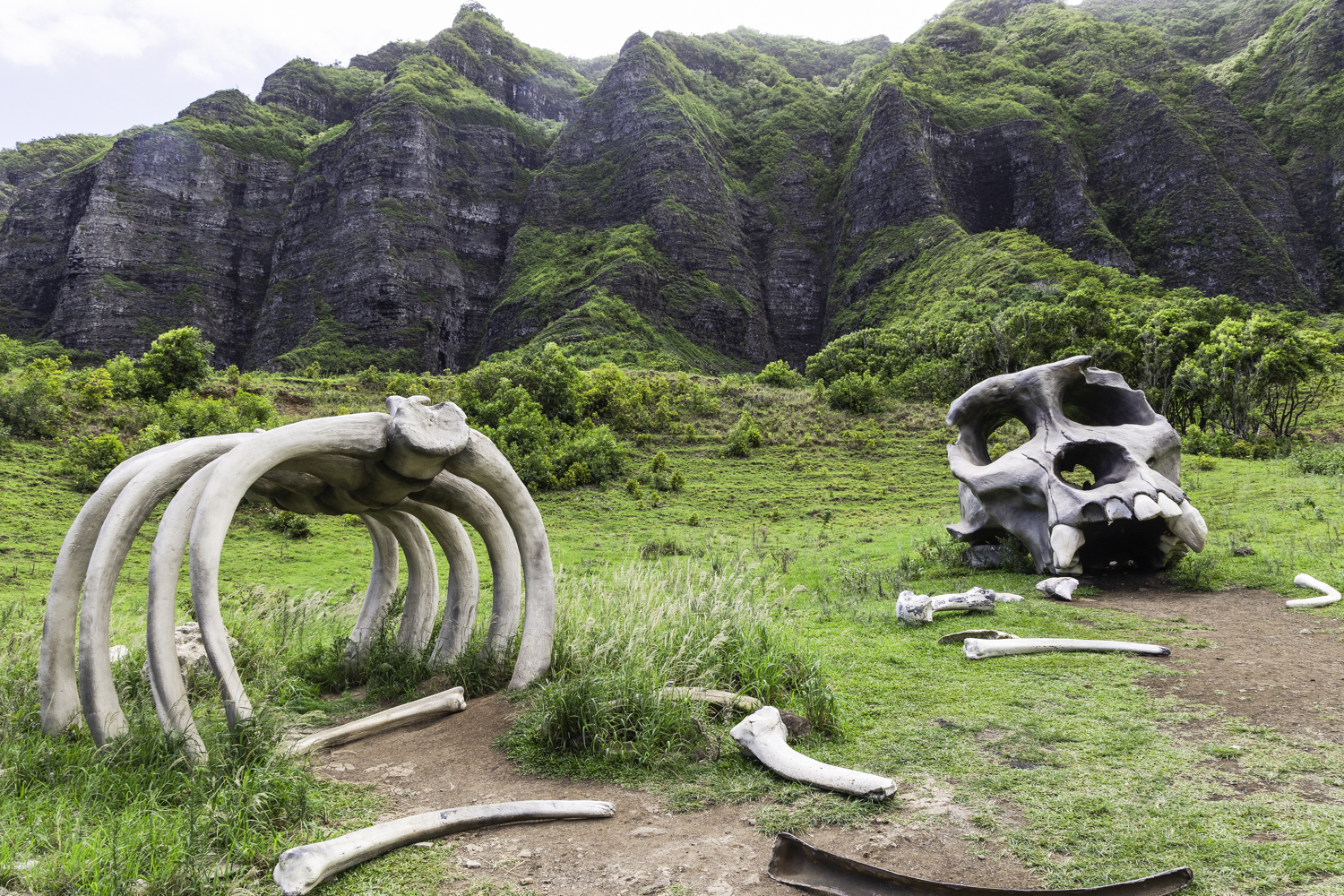 쿠알로아랜치 무비 사이트 투어