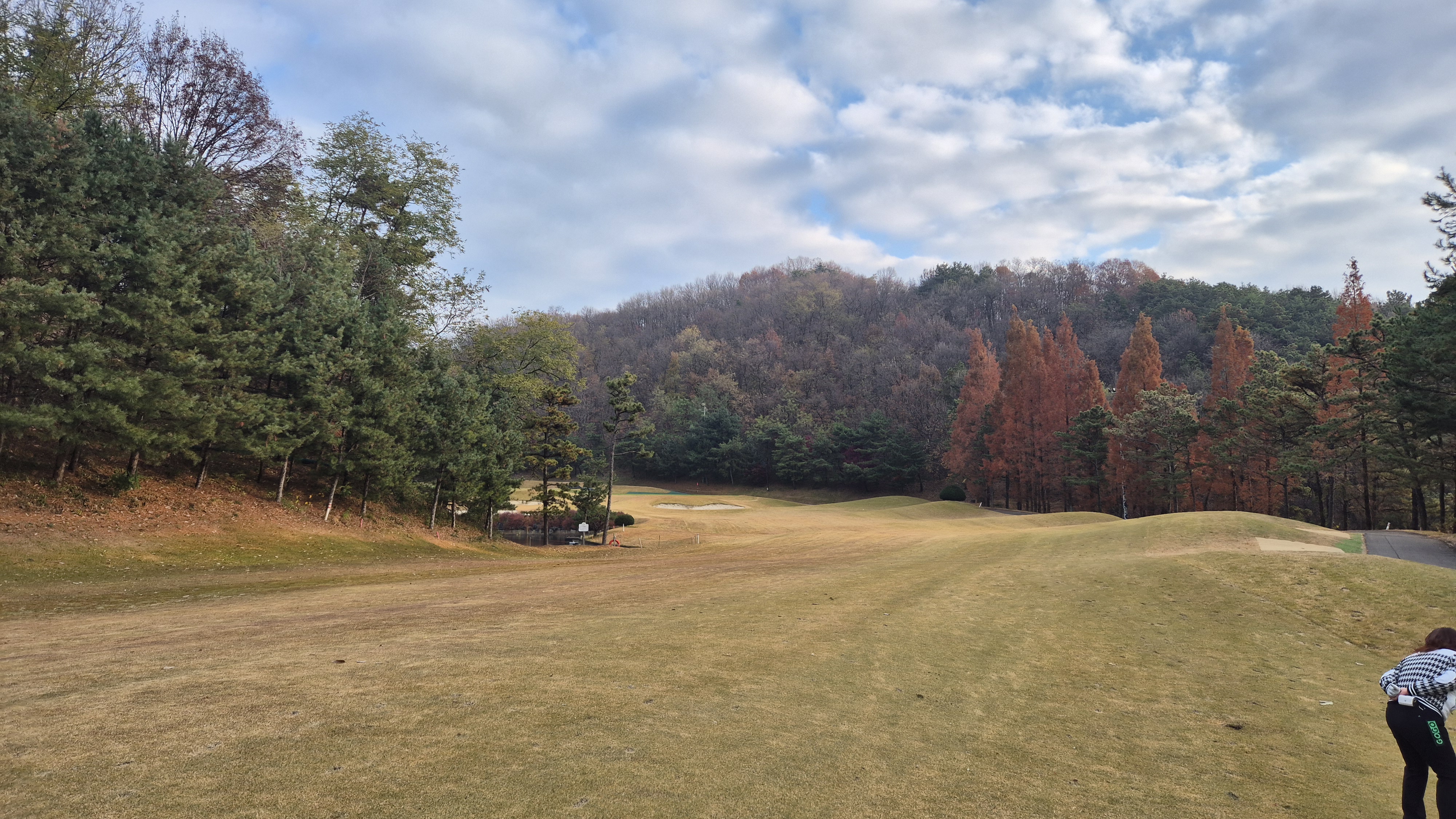올데이 떼제베cc 가람코스 사진 및 공략 정보