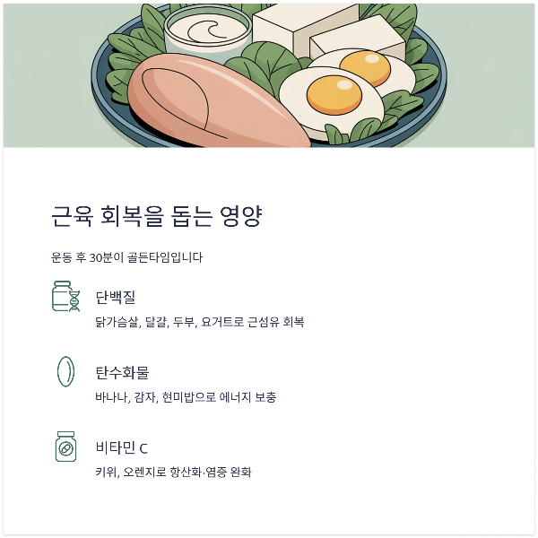 근육 회복을 돕는 영양