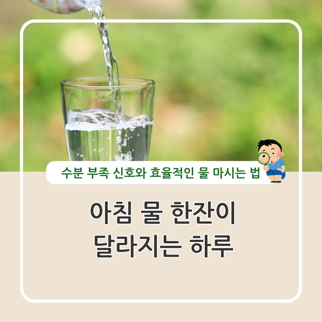 수분 섭취 물 자주 마시기 수분 섭취의 중요 효율적인 방법 정리