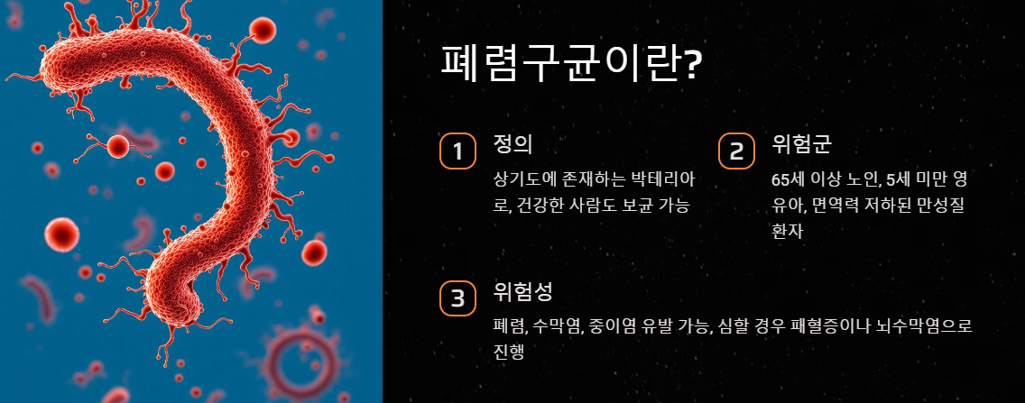 폐렴구군 예방접종 주기와 가격 부작용까지 한눈에 총정리