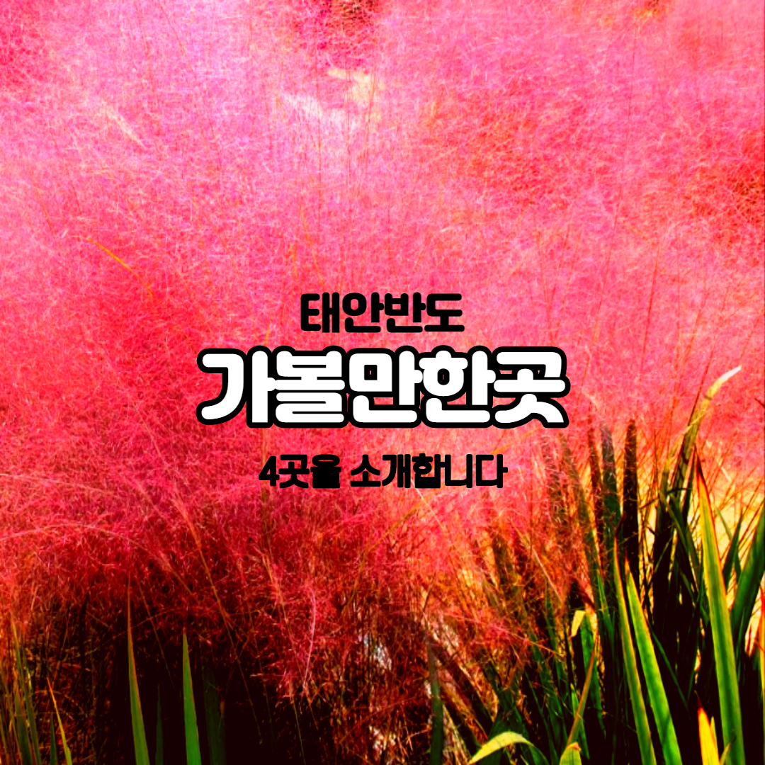 태안반도 가볼만한곳