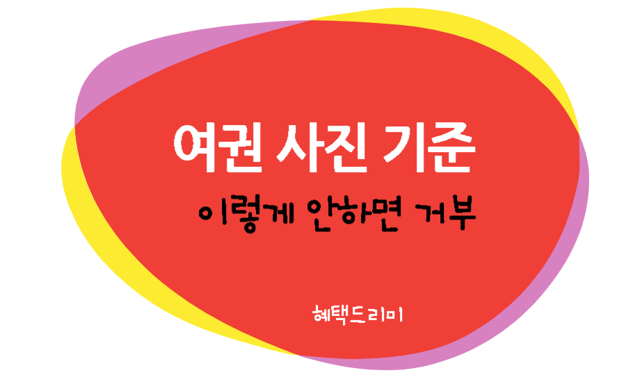 여권 사진 기준, 온라인 신청 사진 이렇게 하면 거부 당함.