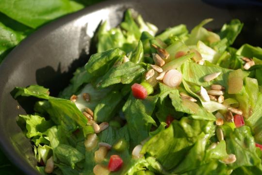 섬유질이 장 건강을 지키는 과학적 이유