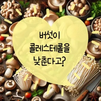 콜레스테롤 낮추는 음식 고지혈증 식단 좋은 기름 선택_23