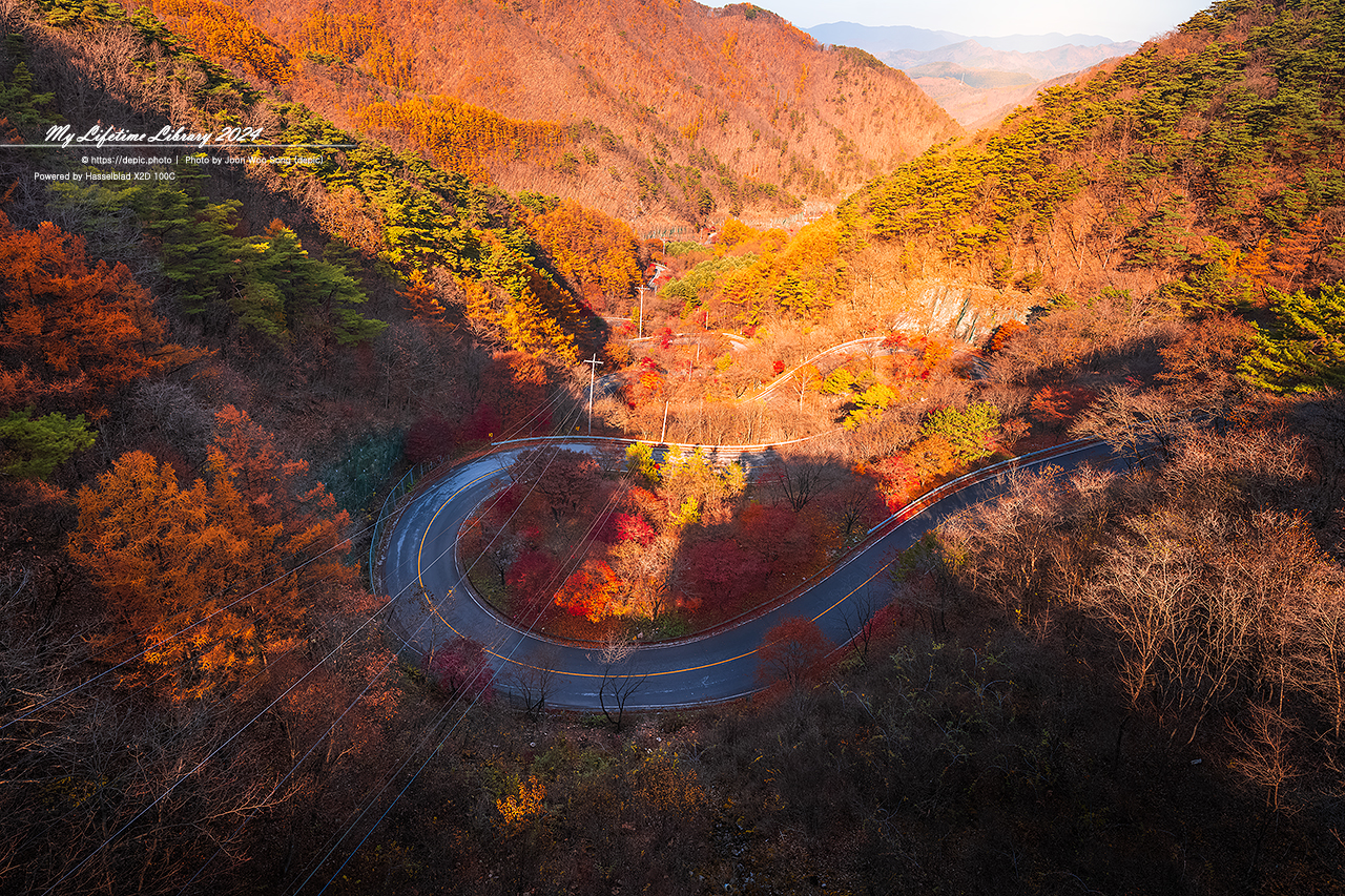 단양 보발재 단풍 가을