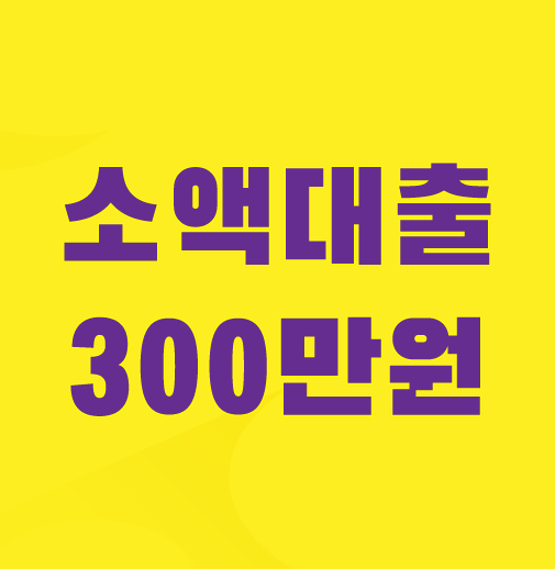 소액대출-300만원