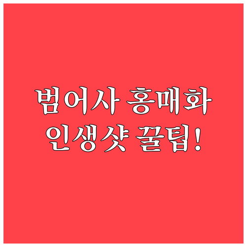 부산 금정구 3월 여행 백서 범어사 ..