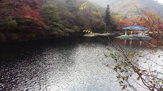 22년 내장산 국립공원 단풍 우화정