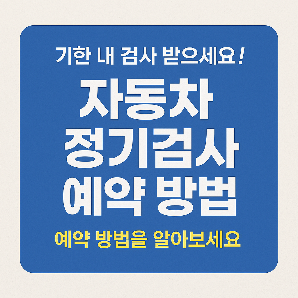 자동차 정기검사 받는 사람