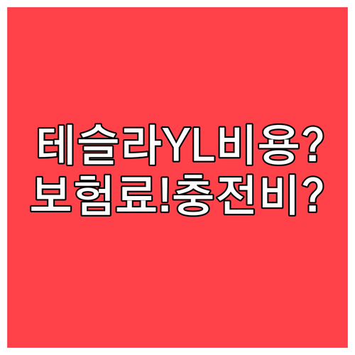 테슬라 모델 YL 유지비 항목별 비교..