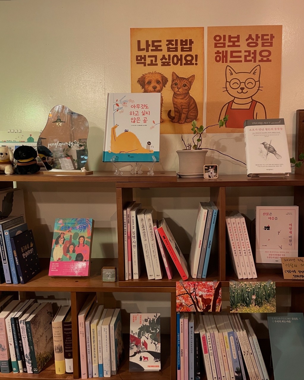 동물책방 정글핌피