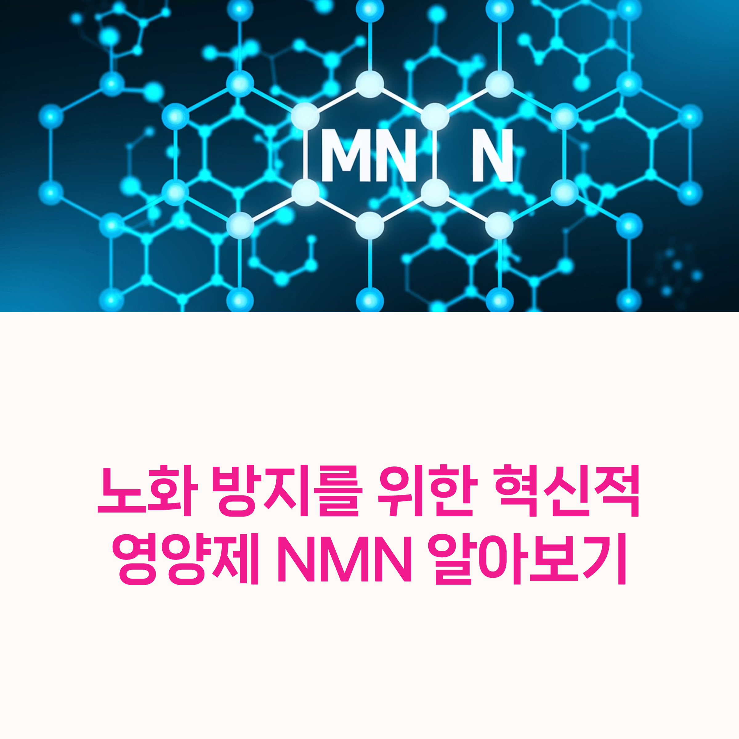 NMN, NAD+, 항노화,