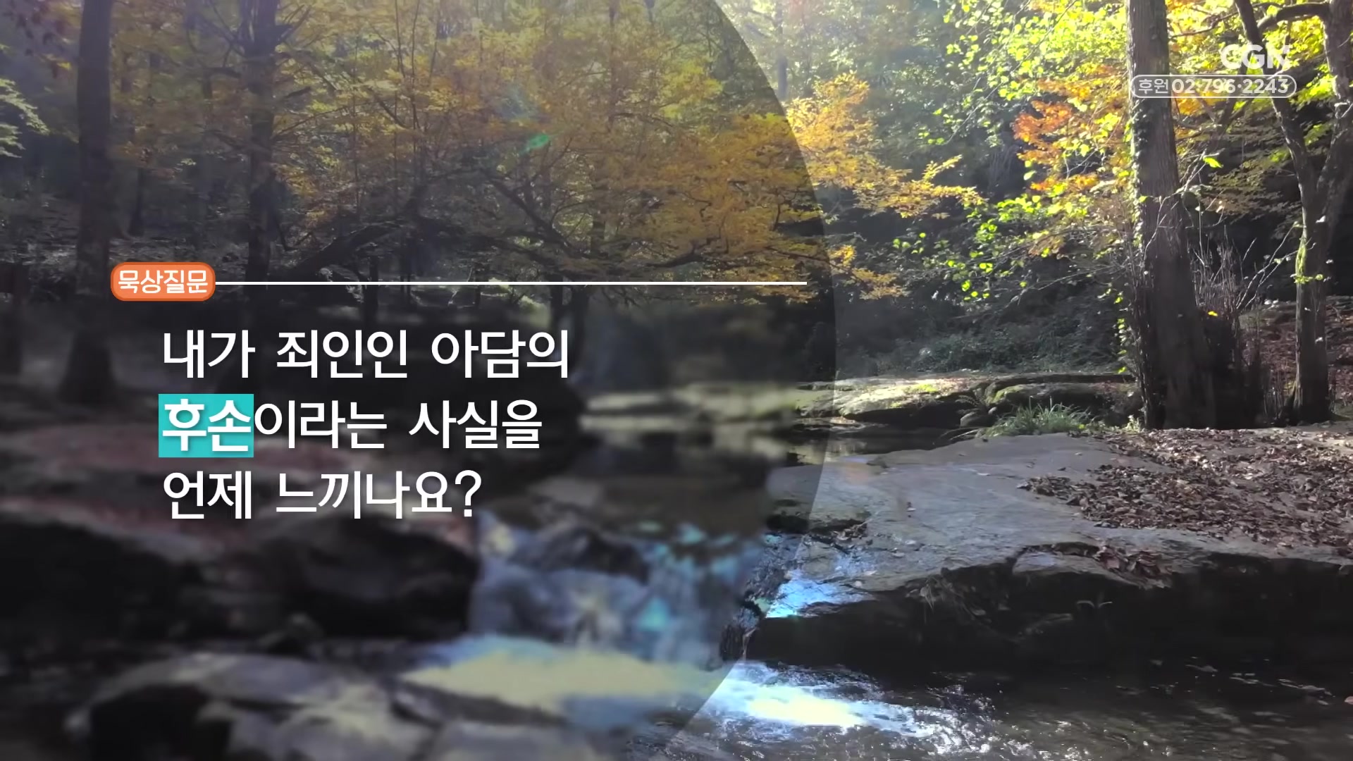 내가 죄인인 아담의 후손이라는 사실을 언제 느끼나요?