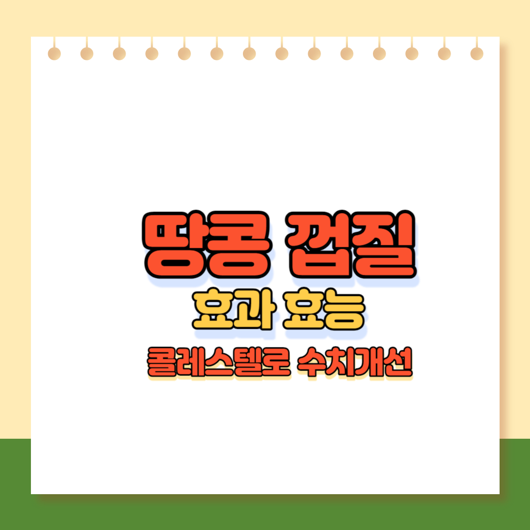 땅콩껍질 메인