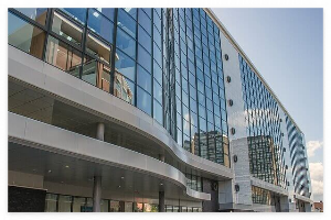 엠폭스 원숭이두창 증상과 원인