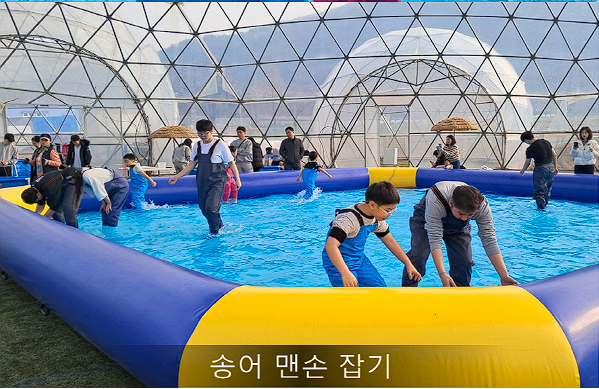 돔빙어 송어 눈 패키지