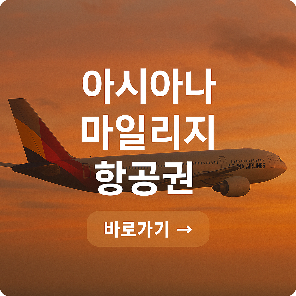 마일리지로 전용기 예약하는 법 : 아시아나 항공 꿀팁 대방출