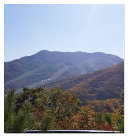 화담숲 모습