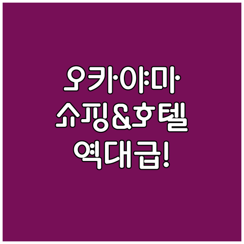 오카야마 오모테초 아케이드 실내 쇼핑..