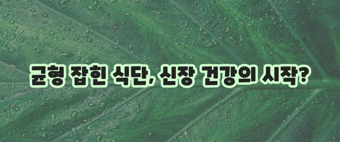 신장에 좋은 음식 5가지