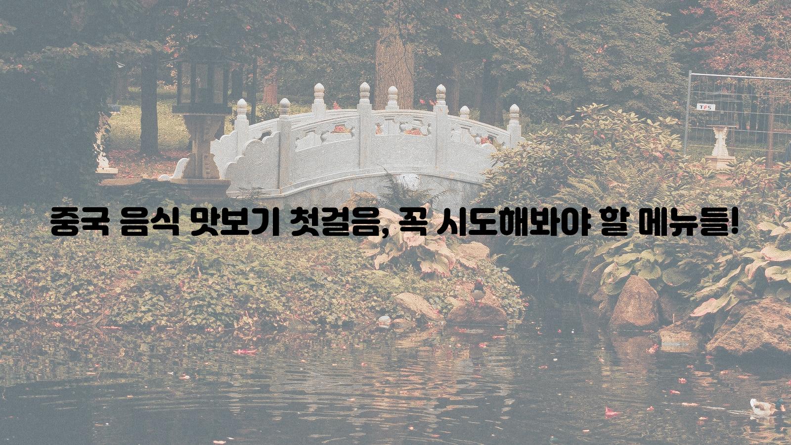 중국, 음식, 맛보기