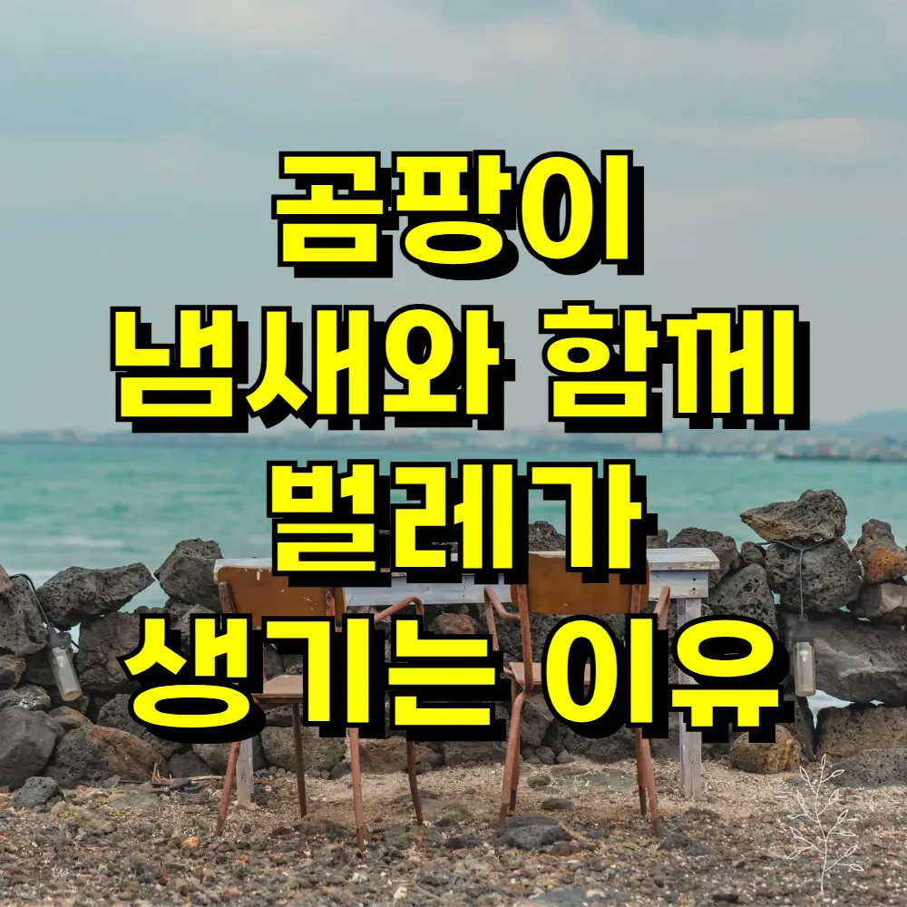 곰팡이 냄새와 함께 벌레가 생기는 이유