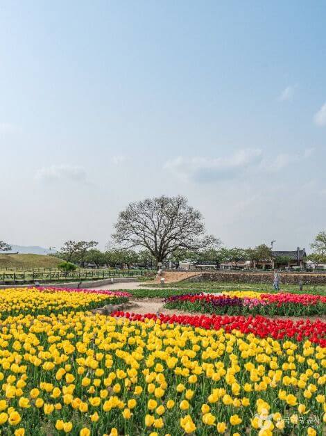 경주 가볼만한곳 베스트 10