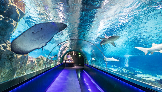 스타필드-코엑스몰