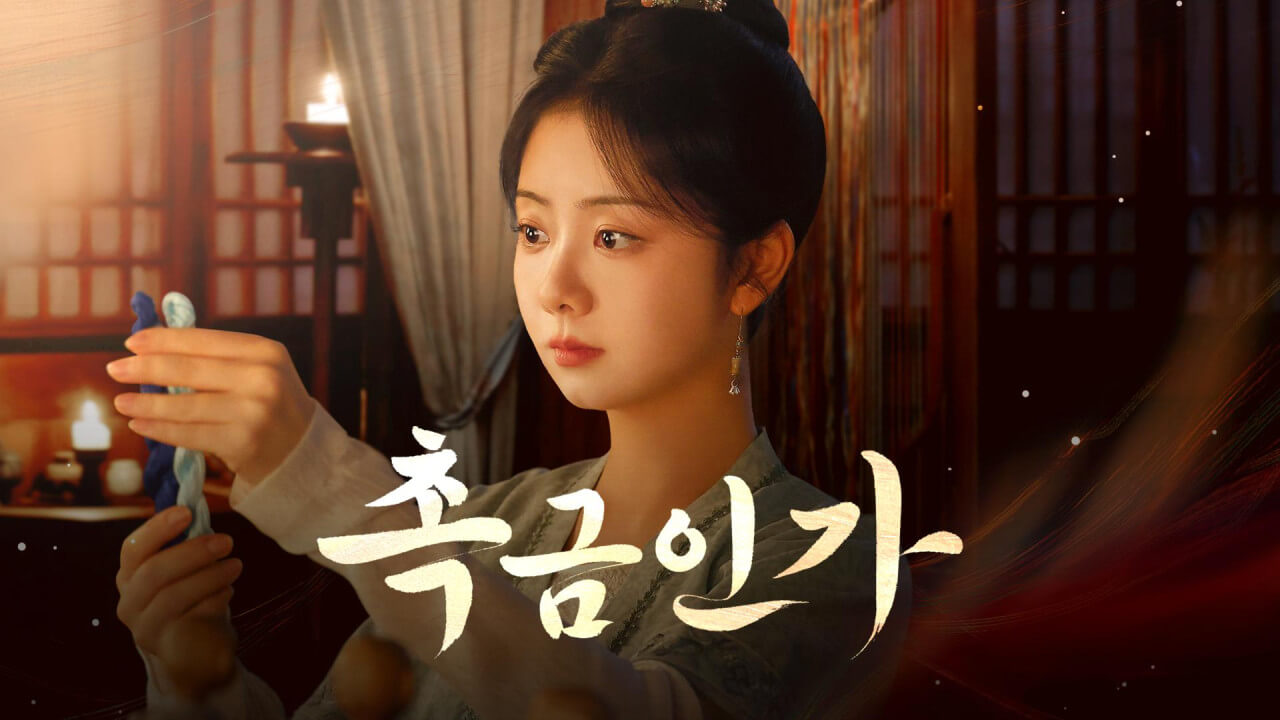 중드 촉금인가